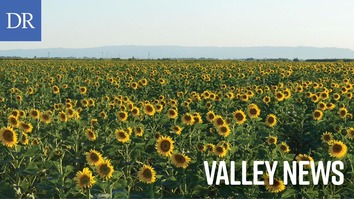 Sacramento regional leaders celebrate ozone attainment milestone | News |  dailyrepublic.com