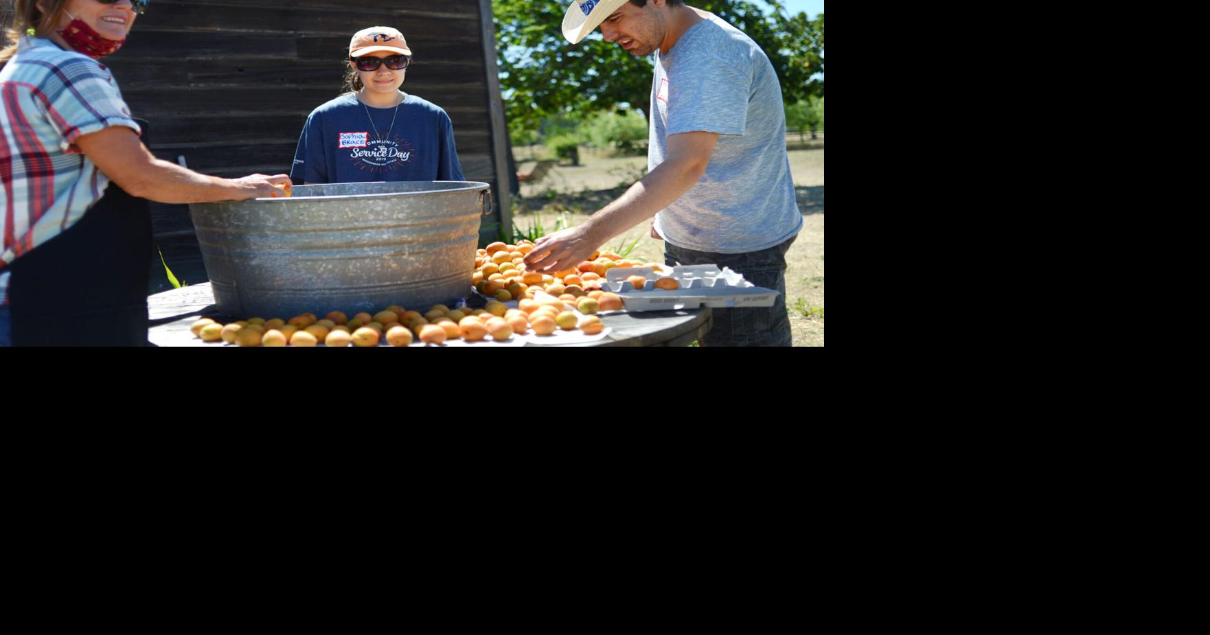 Enjoy a hoedown while raising funds for B Walker Ranch | News ...