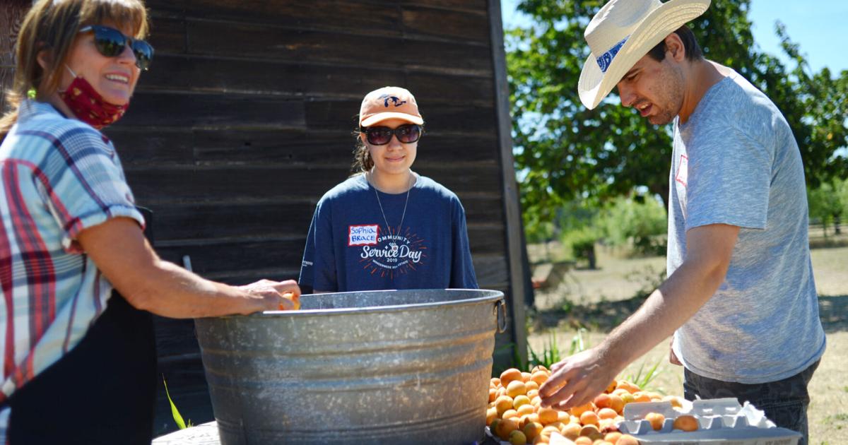 Enjoy a hoedown while raising funds for B Walker Ranch | News ...