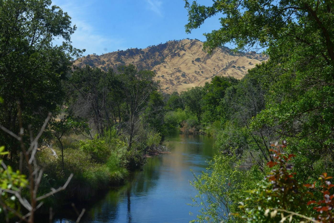 Putah Creek Accord, now 20, remains key to habitat restoration, water flows  | Solano County | dailyrepublic.com