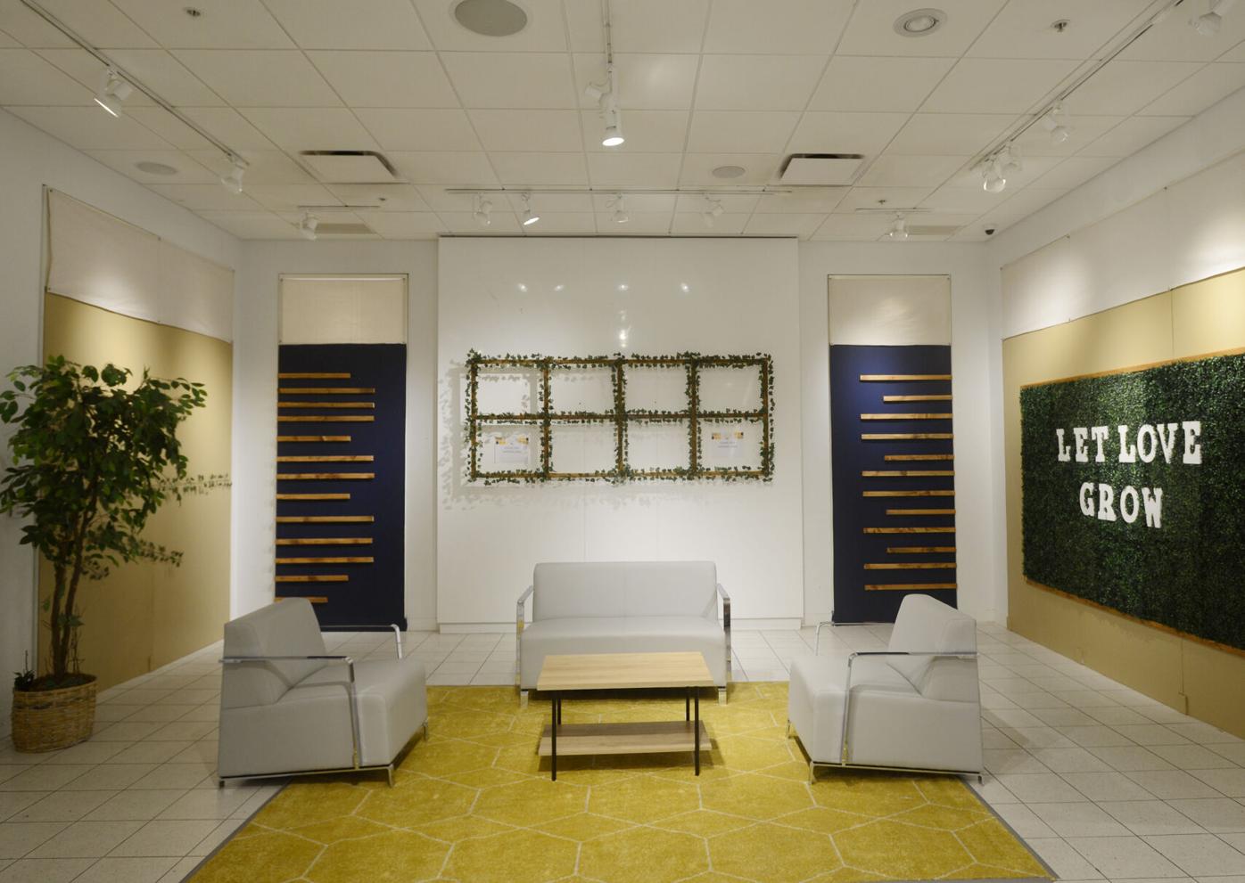 Nonprofit in county dispute wants Solano to be its flagship | Welfare |  dailyrepublic.com