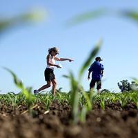 Marking Corn Lost cause: Largest corn maze begins marking, cutting trails | News ...