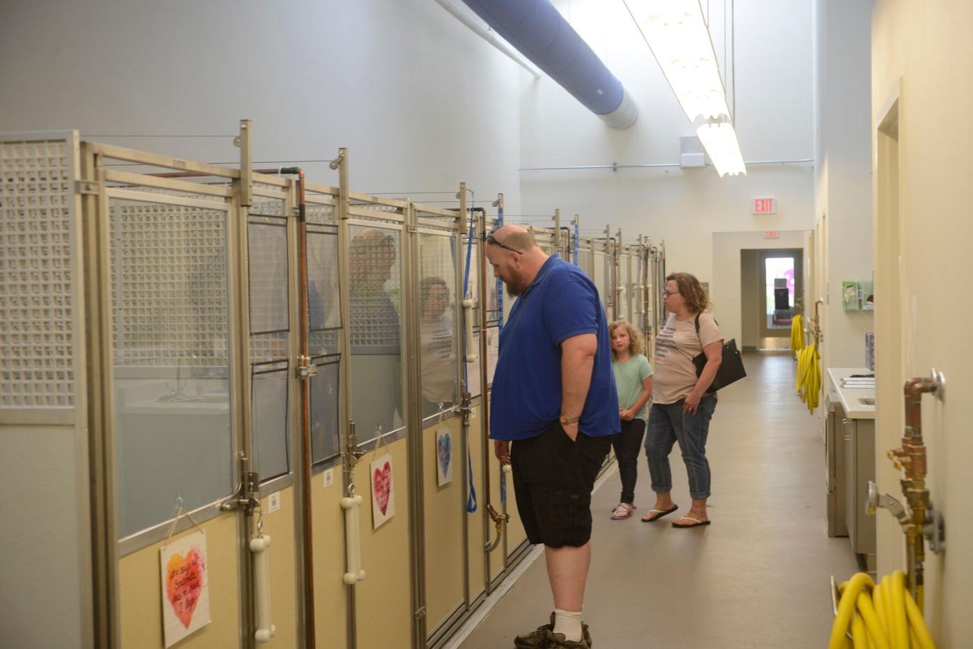 Solano grand jury, again, critical of county animal shelter |  Benicia-Vallejo | dailyrepublic.com