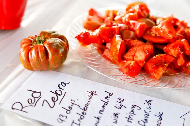 Photos Tomato Day Event at Morningsun Herb Farms in Vacaville News