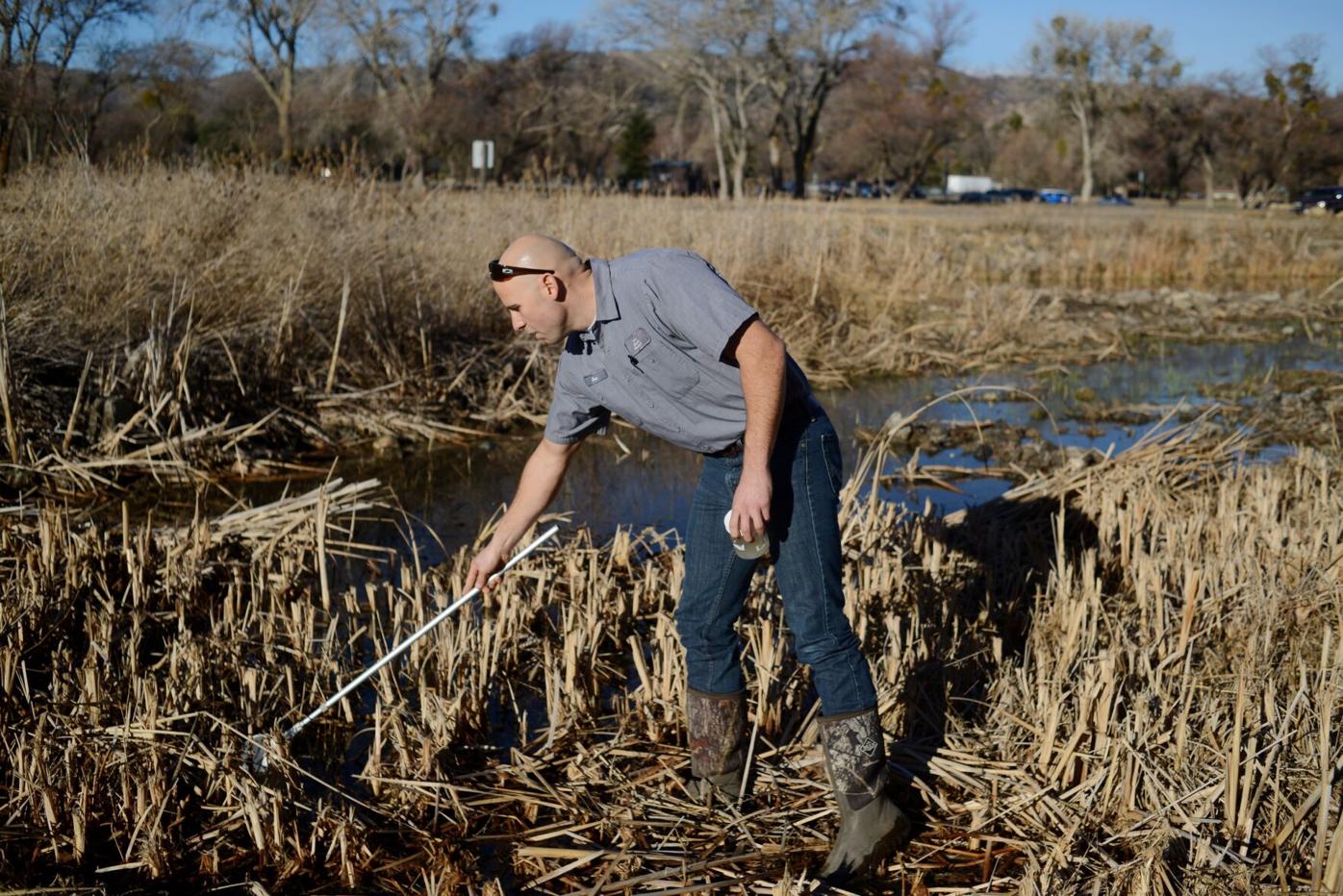 Mosquito district keeps pests at bay | Solano County | dailyrepublic.com