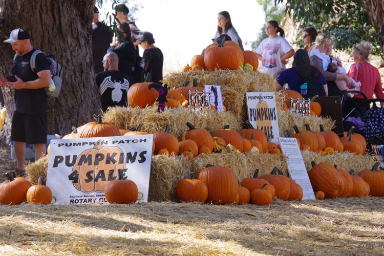 Pumpkin Patch Festival at railway museum offers fun for entire family