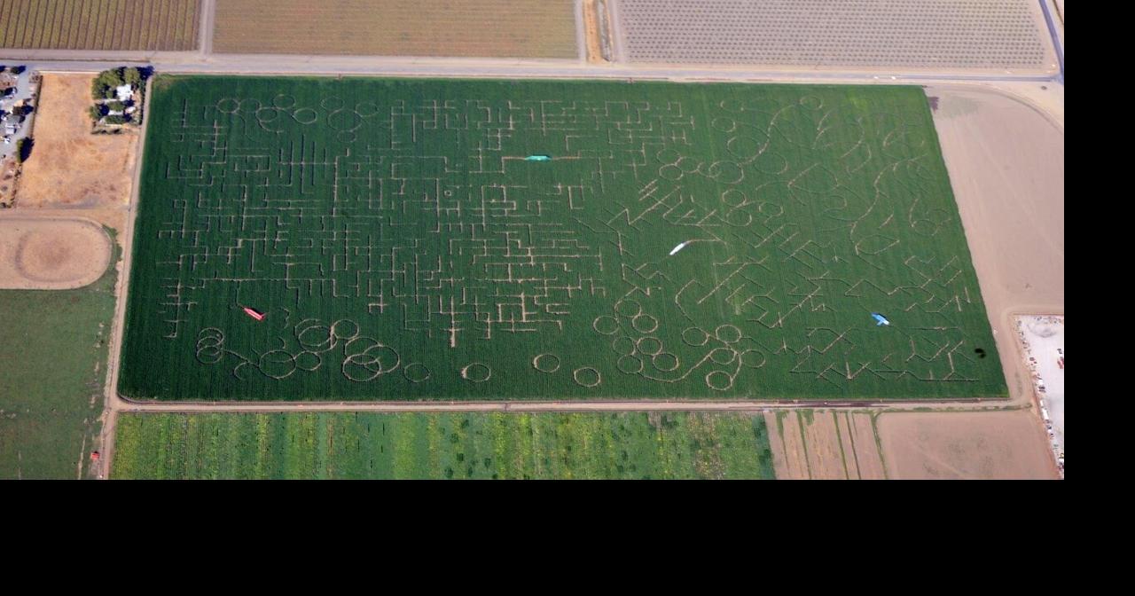 Dixon corn maze breaks own world record | Solano County | dailyrepublic.com
