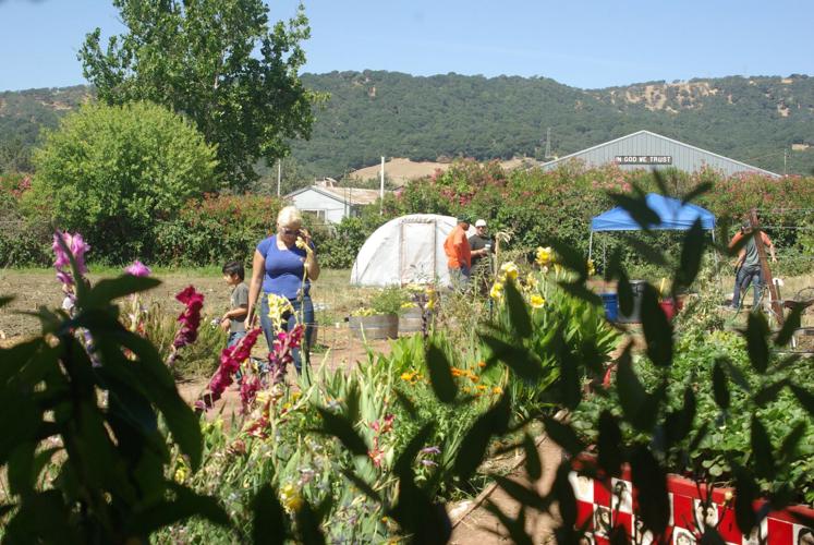 Suisun Valley School preps garden with help from Genentech Education