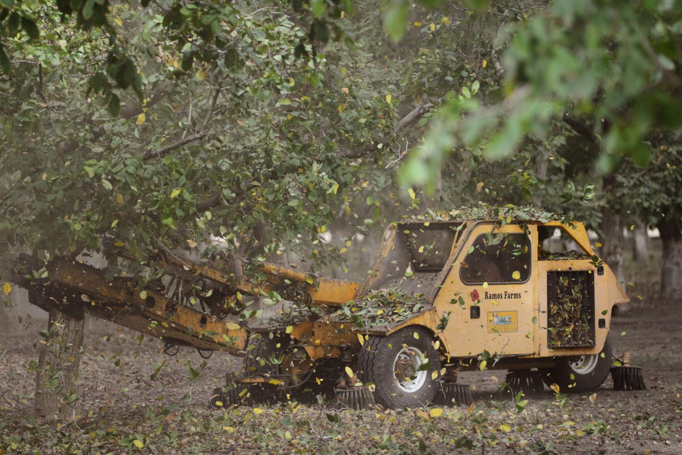 Solano Land Trust adds nearly 1,100 more acres into ag easements |  Vacaville-Dixon-Winters | dailyrepublic.com