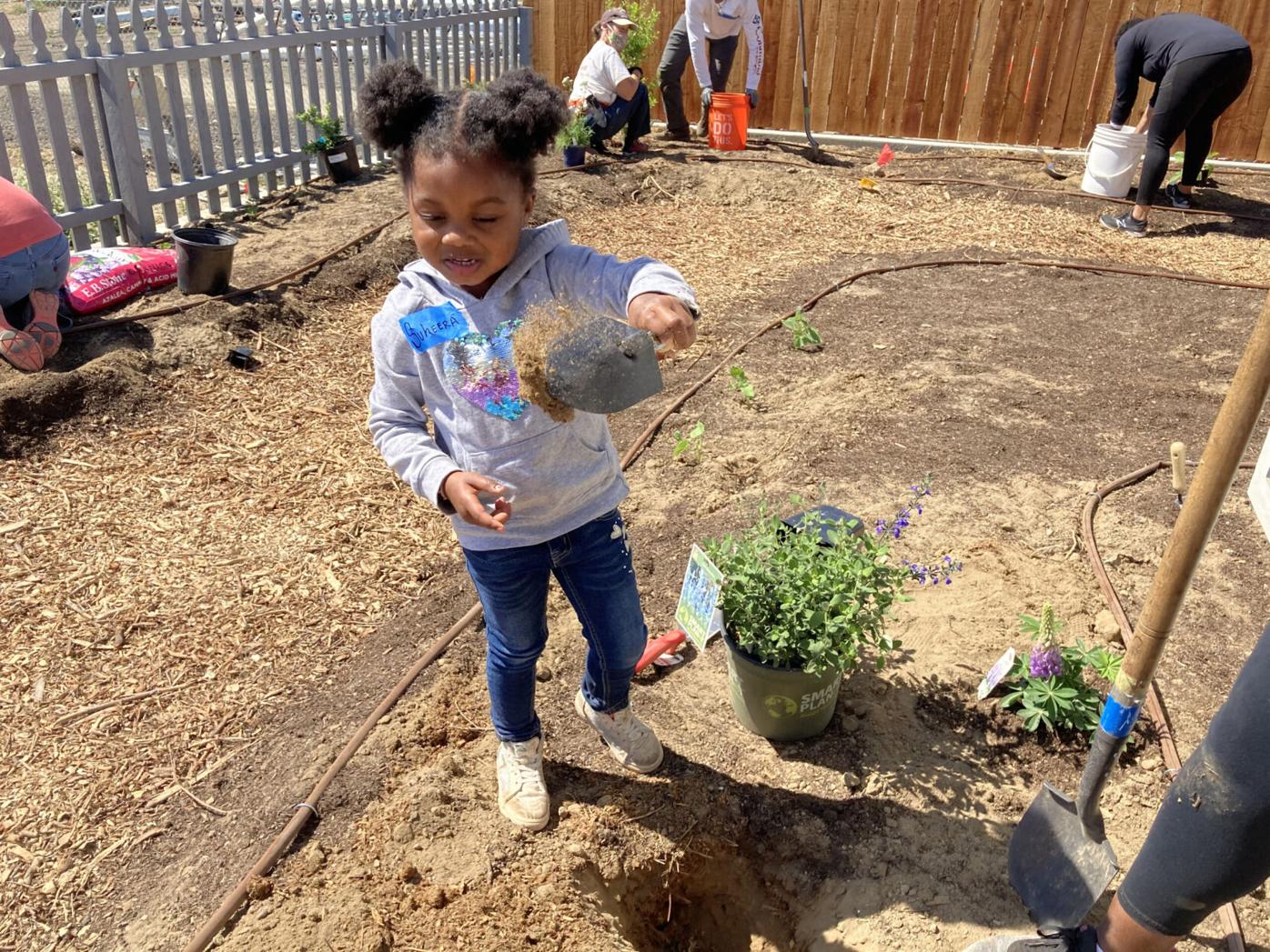 Sustainable Solano, Travis volunteers install landscape at Rio Vista Habitat  home | Rio Vista | dailyrepublic.com