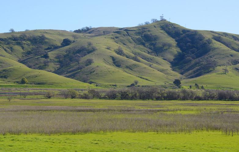 Lagoon Valley project fight rises once again VacavilleDixonWinters