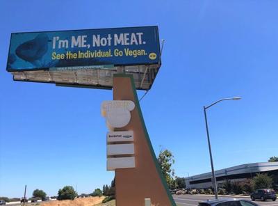 PETA billboard in Dixon discourages fishing | Sport Fishing ...