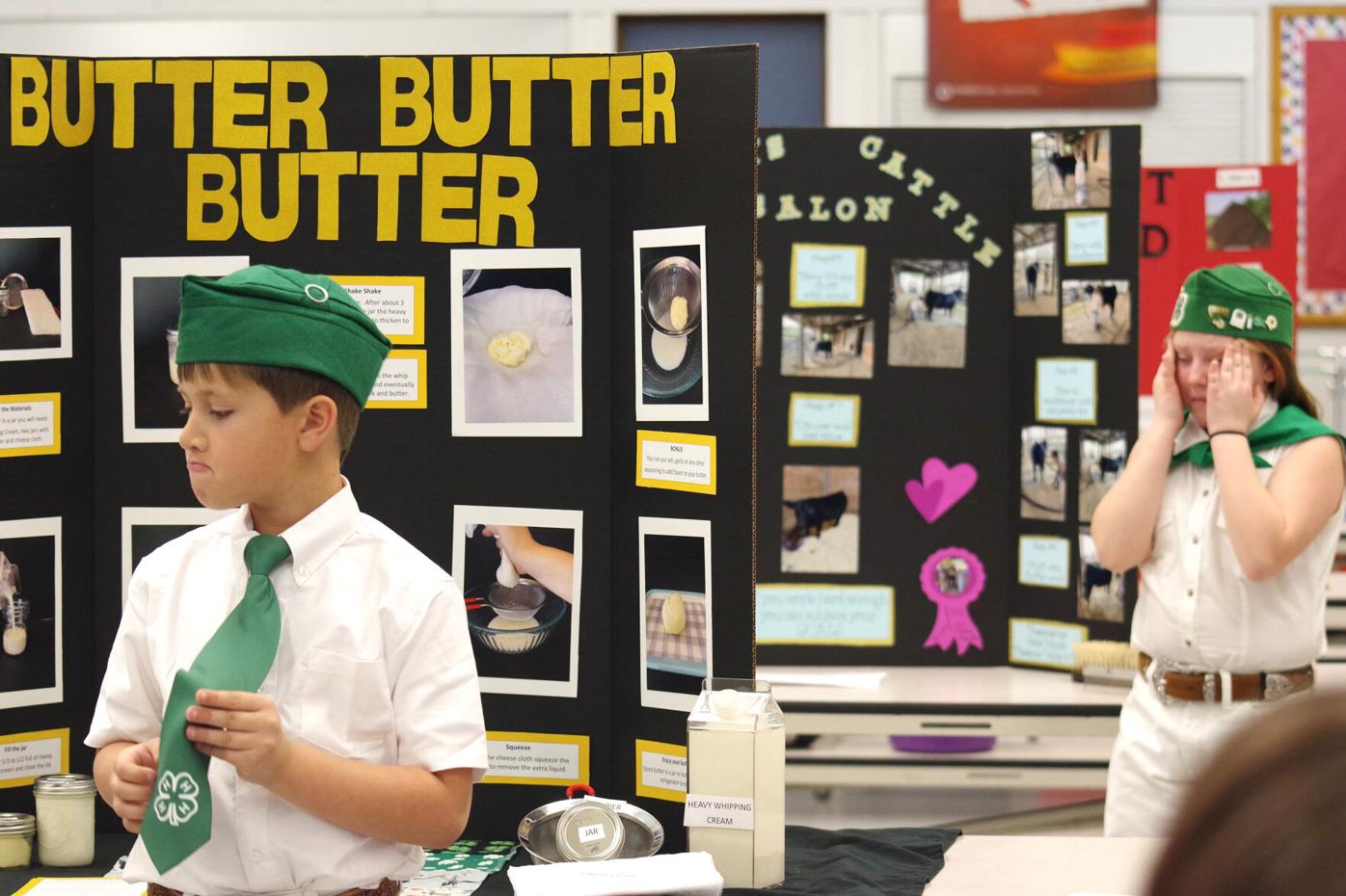 Presentation Day for Solano 4-H Clubs a fun, competitive day |  Vacaville-Dixon-Winters | dailyrepublic.com
