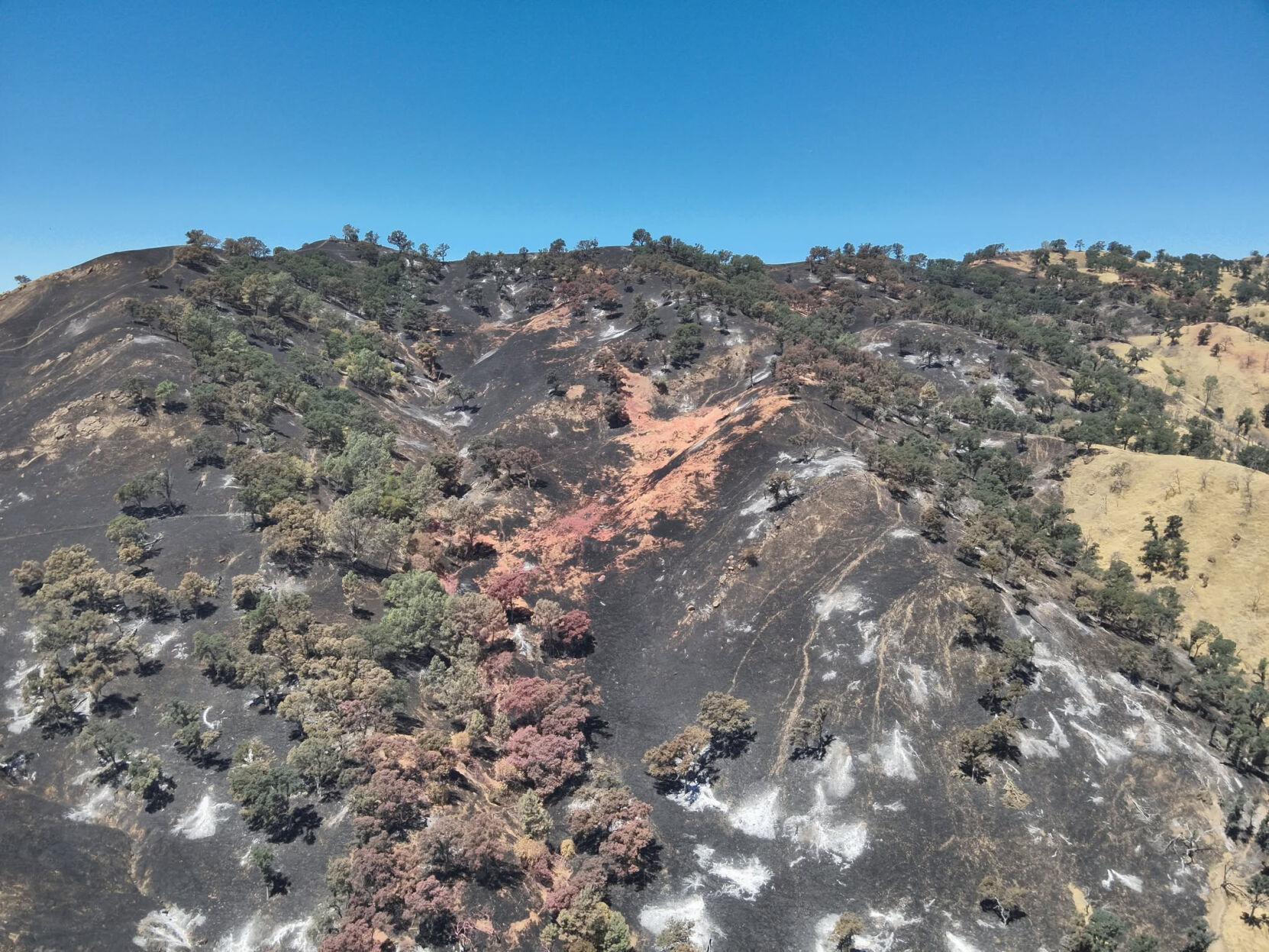 Putah Fire close to full containment 1 week from start | News ...