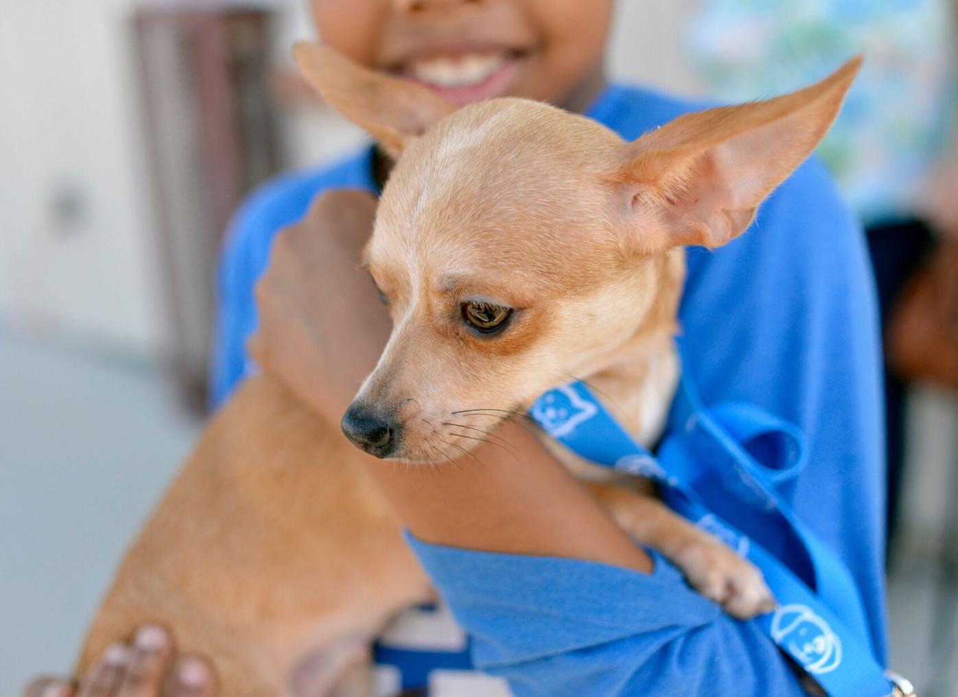 Animal Control to get new washer, dryer for Christmas | News |  dailyrepublic.com