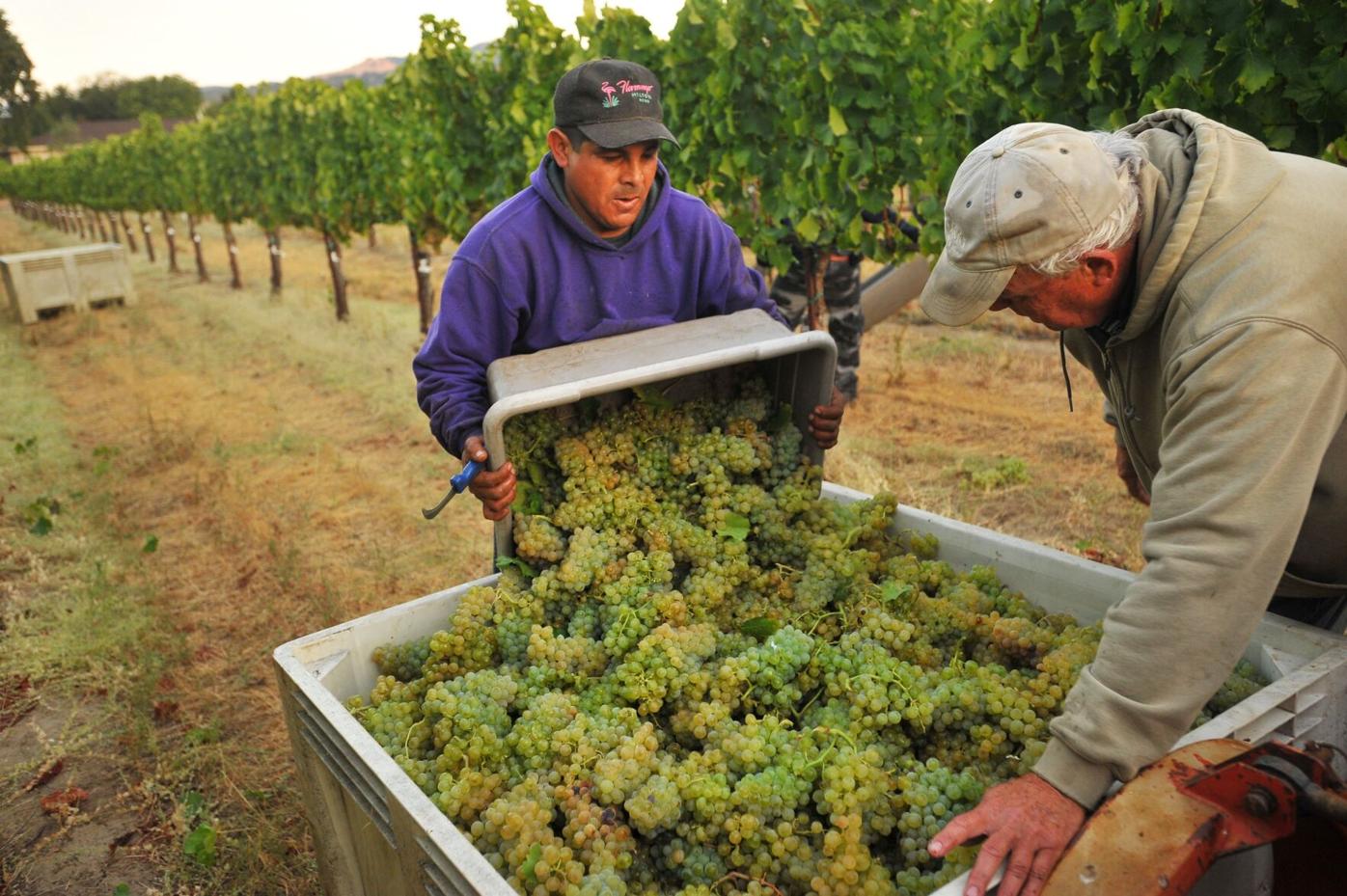 A portrait of Solano agriculture painted with palette of land-use,  infrastructure, economic development | News | dailyrepublic.com