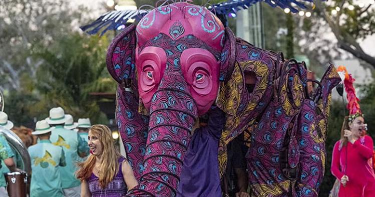 San Diego's Nighttime Zoo has been a summer staple. This is the last year