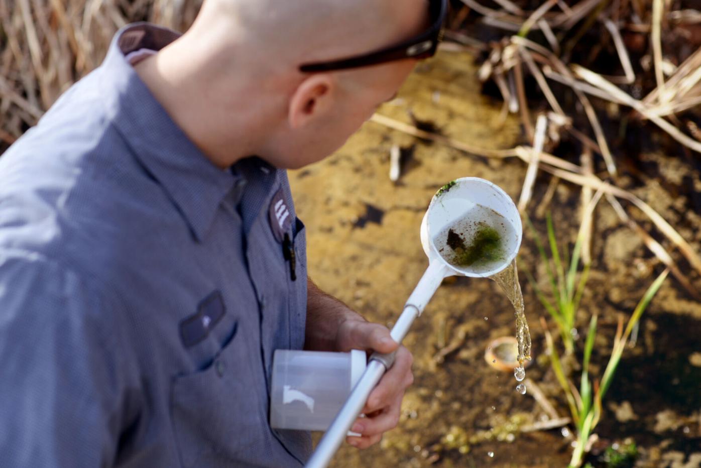 Solano mosquito abatement district adding drones to toolbox | Solano County  | dailyrepublic.com