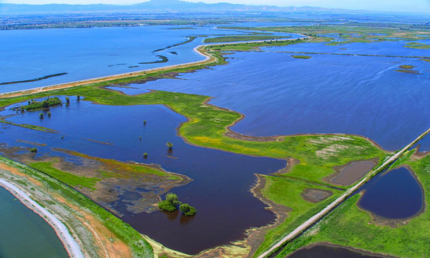 Solano County challenges Delta tunnel consistency with Delta Plan  regulations | News | dailyrepublic.com