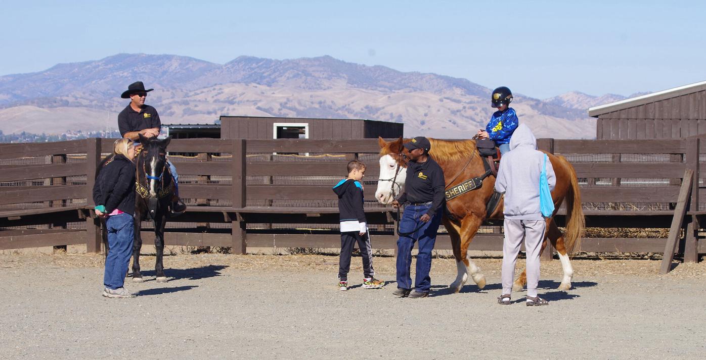 Harvest Festival welcomes families to Rush Ranch | Suisun City |  dailyrepublic.com