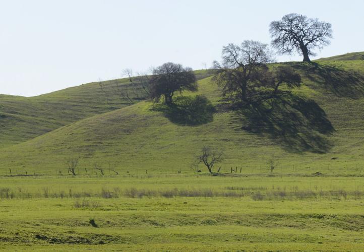 Lagoon Valley project fight rises once again VacavilleDixonWinters