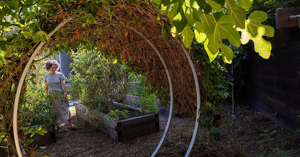 Transforming Their Lawn into a Mini-Farm: A Journey of Family and Life Lessons Transforming Their Lawn into a Mini-Farm: A Journey of Family and Life Lessons
