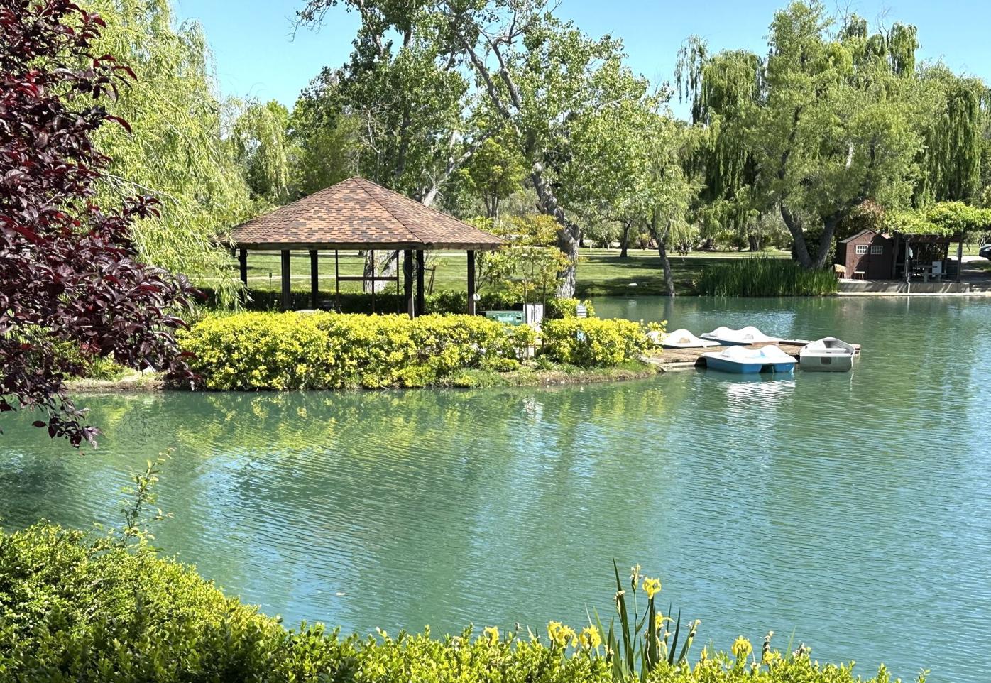 Will Asian Pacific Islander cultural project toe the line? | News |  dailyrepublic.com