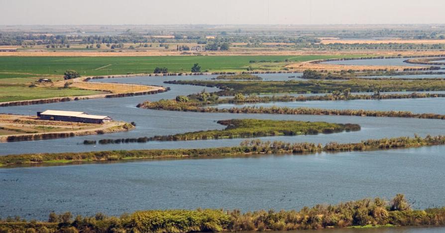 State budget to include $158 million for Delta, SWP levees, canals