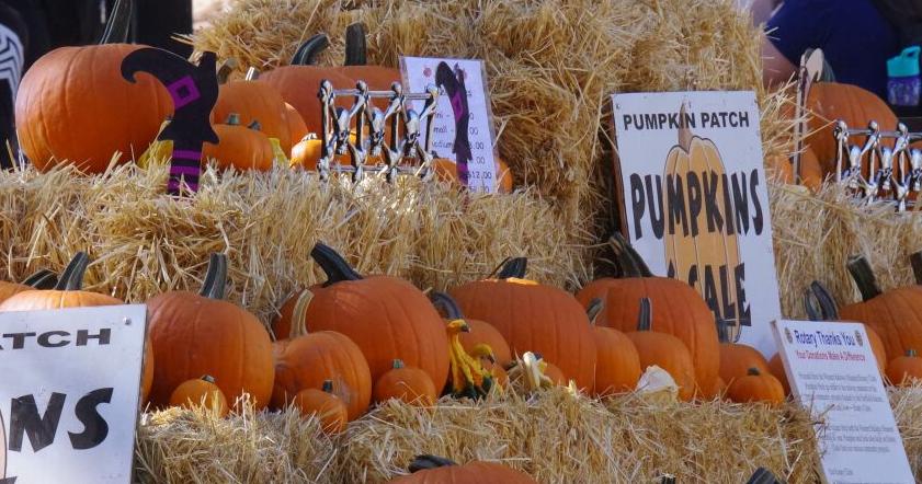 Railway museum offering rides to pumpkin patch