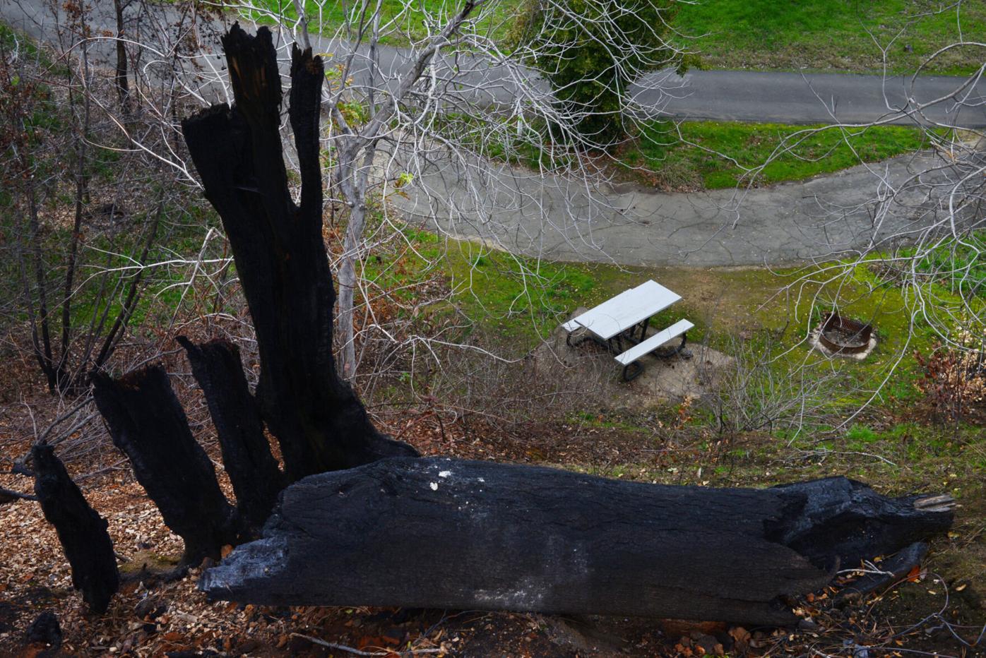 County to use $400,000 in insurance funds to finish Lake Solano LNU fire  restoration | News | dailyrepublic.com