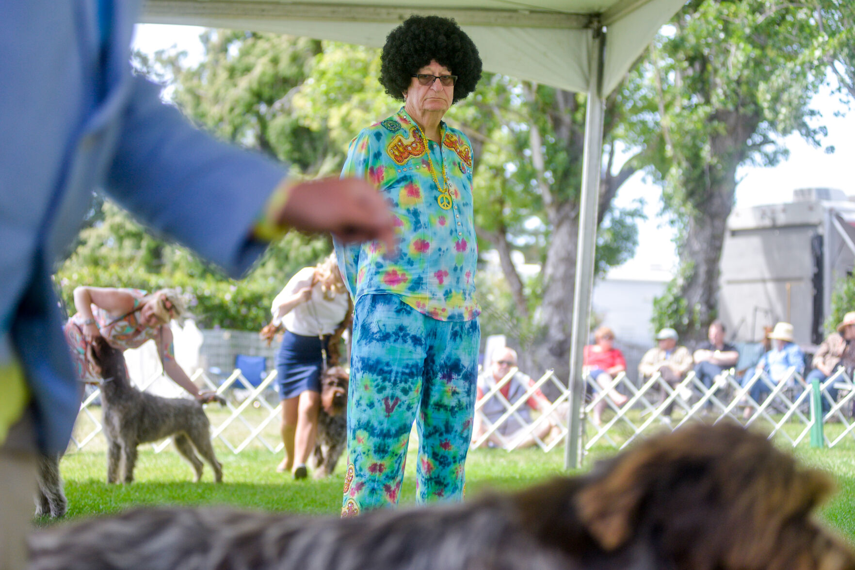 Woofstock 2018 best sale