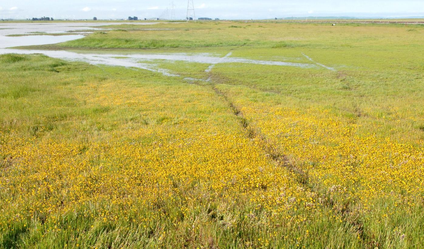 Flannery project interest spreads within land preservation groups | News |  dailyrepublic.com