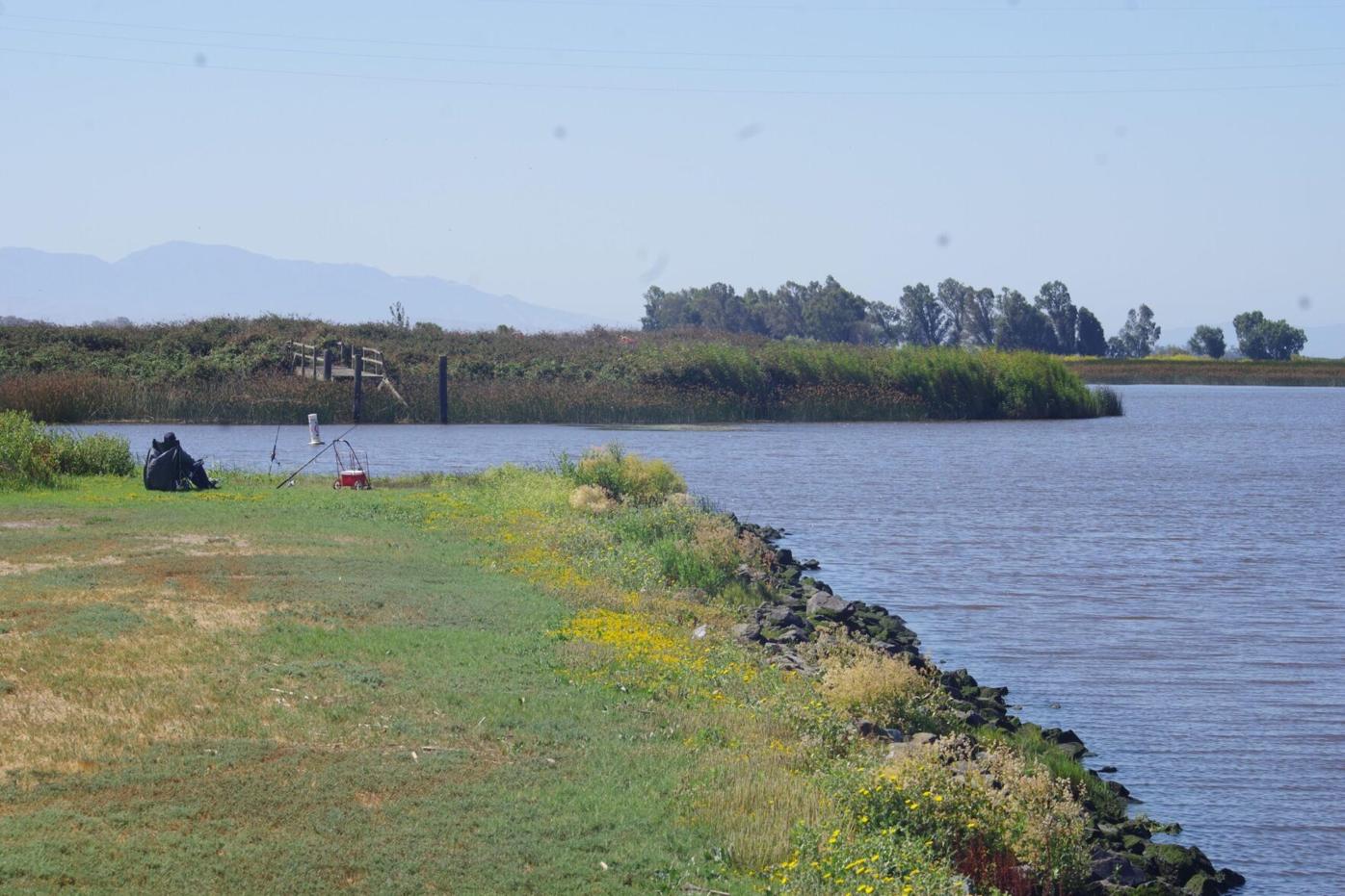 Sustainable Solano walk looks at prospect of flooding in Suisun City |  Suisun City | dailyrepublic.com