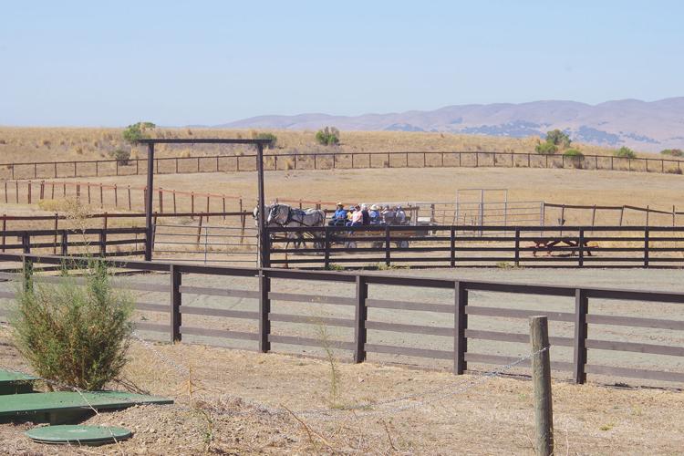 Rush Ranch helps to make memories, lasting traditions | Fairfield ...