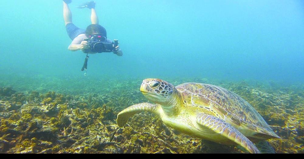 SFA graduate a divemaster, is one step closer to goal of