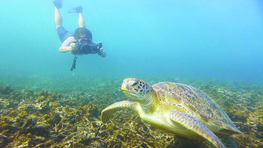 SFA graduate a divemaster, is one step closer to goal of