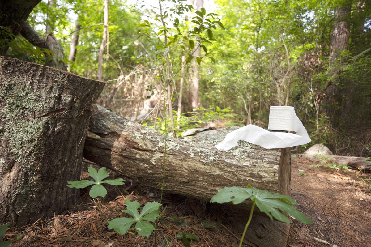 Toilet paper doesn't grow on trees, but freerange alternatives exist