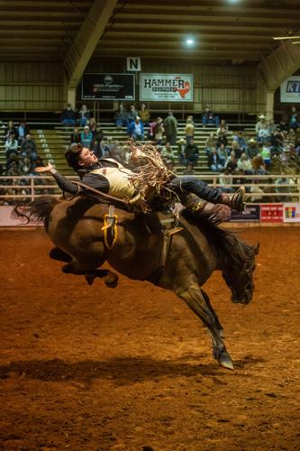 Nacogdoches Pro Rodeo | Photo Gallery | dailysentinel.com