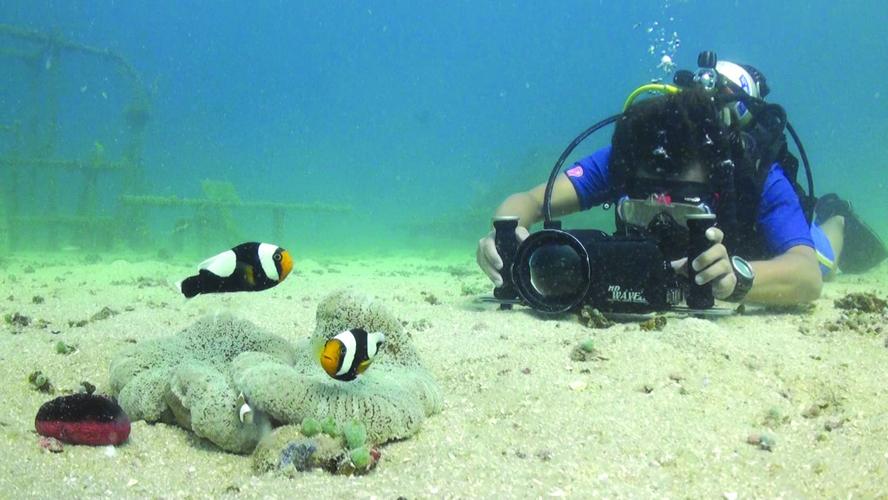 SFA graduate a divemaster, is one step closer to goal of