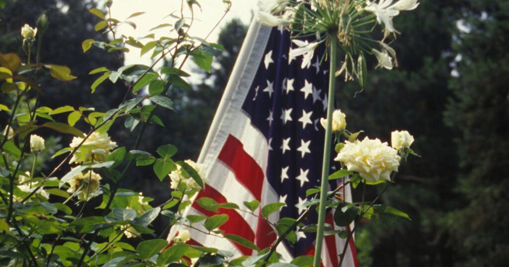Fourth of July celebration - Vimarsana News