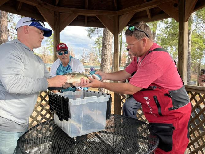 Bass cash: Boats, trucks, rewards offered for reeling in tagged fish on  select public lakes, Sports