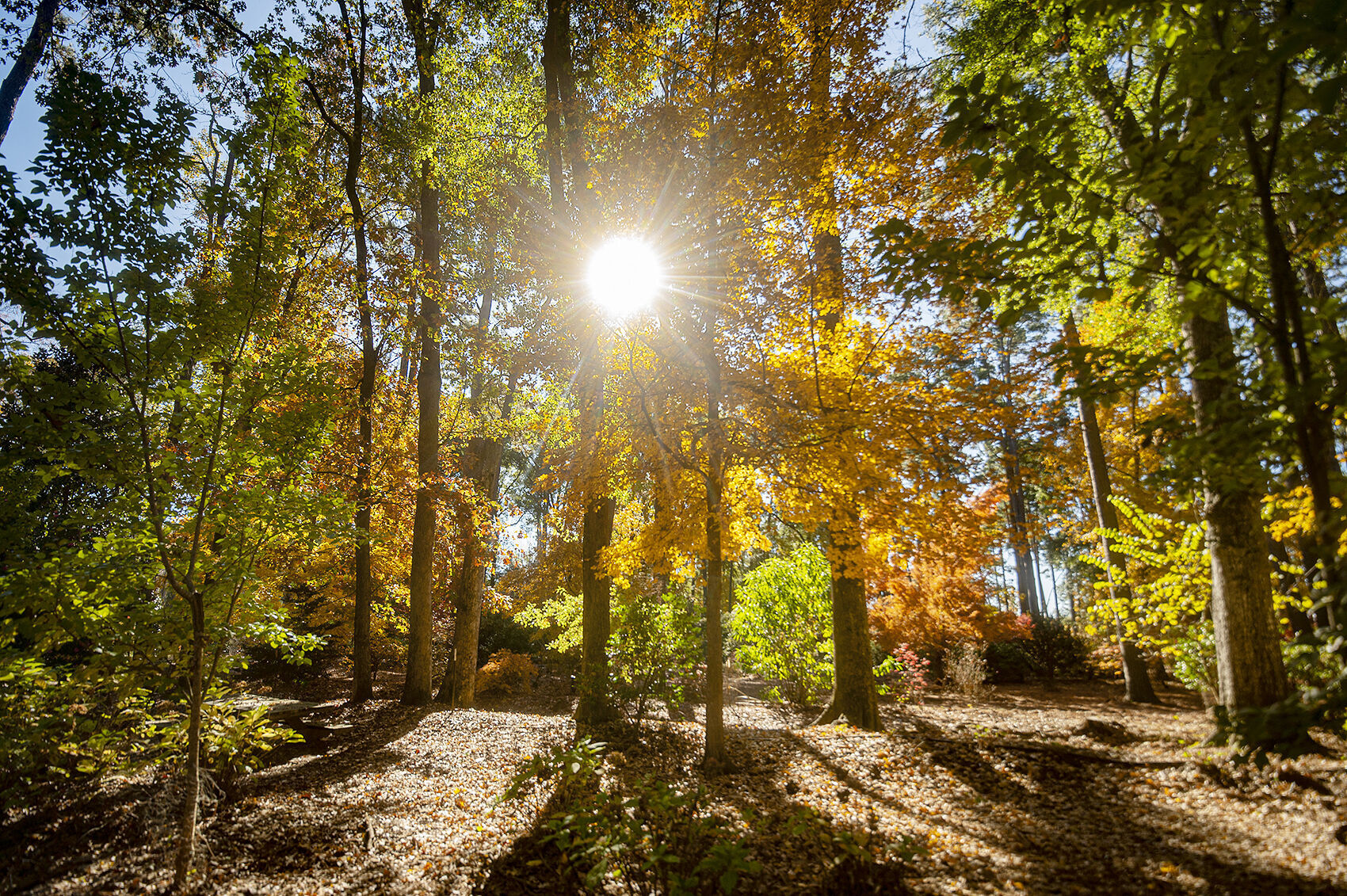 Drier, warmer than average fall weather expected | Local News ...