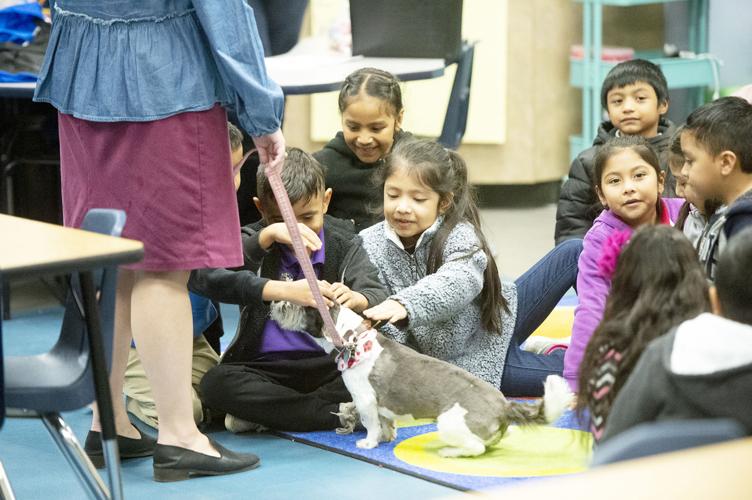 Career Day at BrooksQuinn Jones Elementary, Feb. 1, 2019 Photo