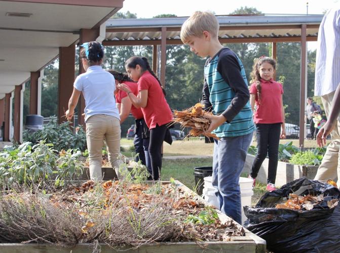 More locations, schools going green | Local News | dailysentinel.com