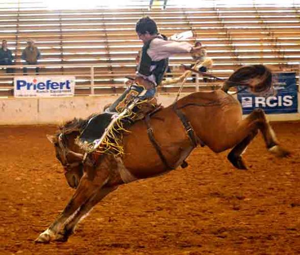 Region 2 Rodeo Cowboys and Cowgirls | Local News | dailysentinel.com