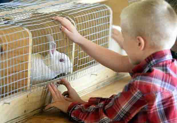 The Week in Photos, Oct. 5-11, 2014 | Photo Gallery | dailysentinel.com