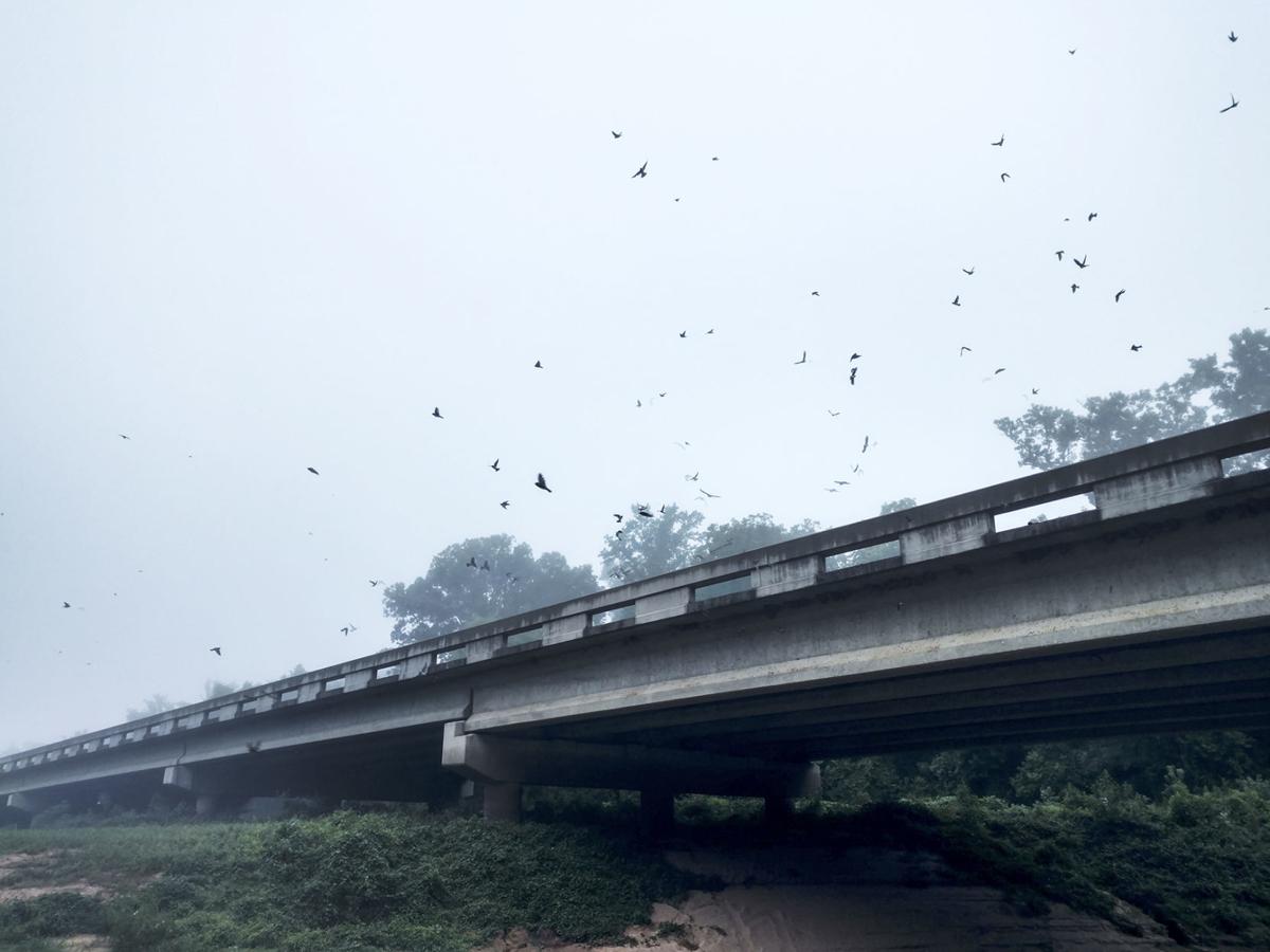 14 miles of muddy Angelina River brings peaceful battle with nature