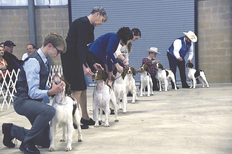 Dog owners demonstrate pets' best qualities at Kerrville show News