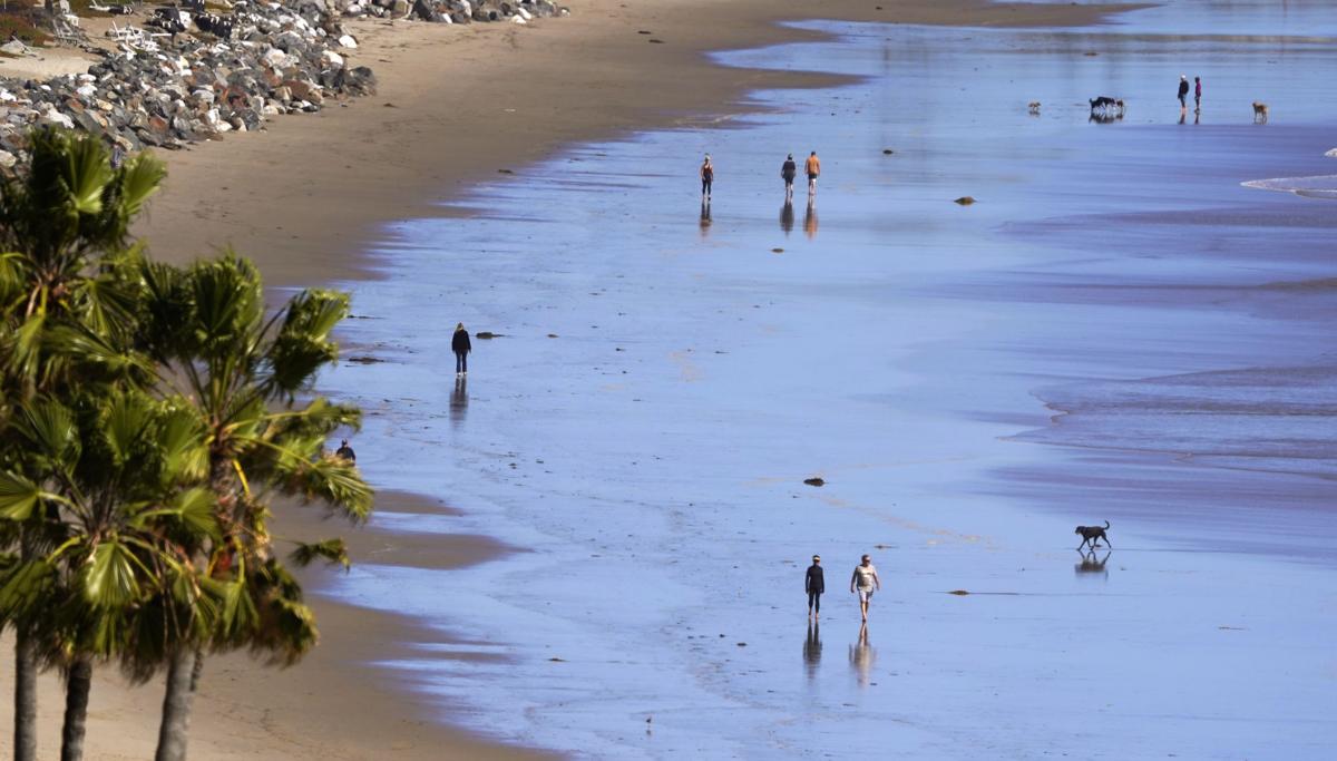 Virus Outbreak California