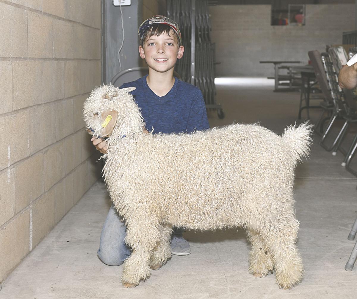 getting their goat promotions dailytimes com getting their goat promotions